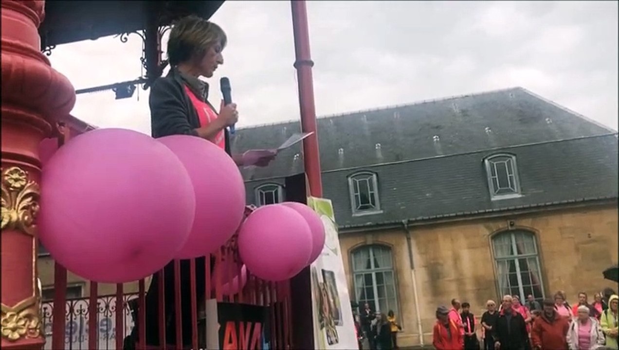 Bar-le-Duc : 1200 personnes réunies pour la Marche Rose