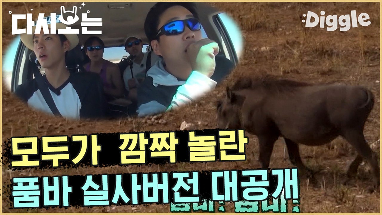 [#꽃청춘] 도착하자마자 동심 대폭발 이 정도면 응답하라 아프리카편 아니냐고요 ㅋㅋㅋ (커엽) | #꽃보다청춘_아프리카 | #Diggle