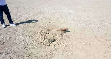 Konya'da toprağa gömülü erkek cesedi bulundu