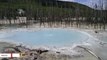 Viral Image Shows What Yellowstone Spring Looks Like After Geyser Eruption