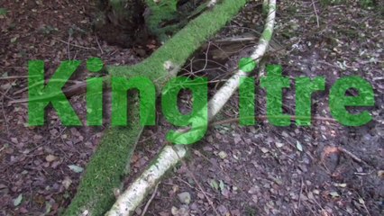 شاهد.. الكشف عن الإعلان الترويجي الأول لـ "قيامة عثمان"