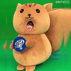 乃木坂46 久保史緒里 「久保リスです」