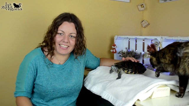 CORTEJO Y TERRITORIALIDAD EN TORTUGAS DE AGUA | BAILES CON LAS PATAS Y MORDISCOS ENTRE TORTUGAS