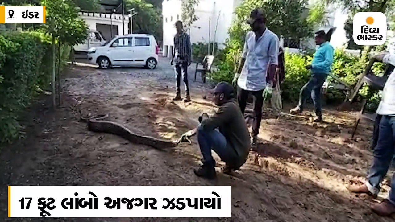 ઇડરમાંથી 17 ફૂટ લાંબો અજગર પકડાયો, ચોમાસની સિઝન...