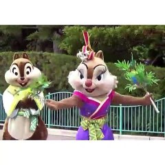 Family Of Chipmunks Arrived Our City