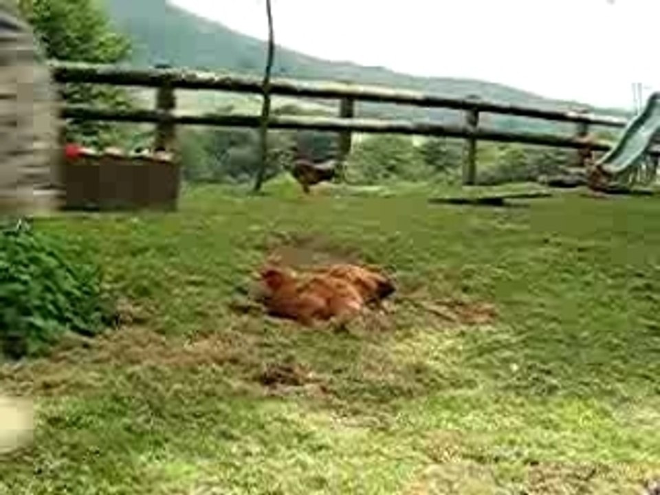 A la Ferme Esteben