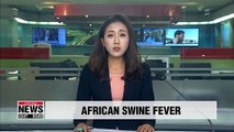 Two wild boars found dead near DMZ confirmed to have African Swine Fever