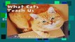 About For Books  What Cats Teach Us 2019 Box Calendar  Review