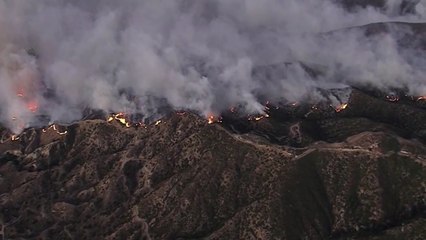 美 캘리포니아주 남부 산불로 3명 사망 / YTN