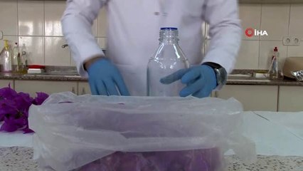 Gelin duvağından tescilli doğal boya