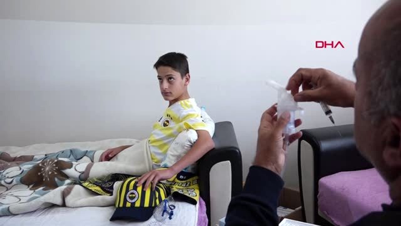 Van vaner, nakil bekliyor