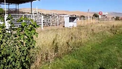 Stat ilgisizlikten meraya döndü