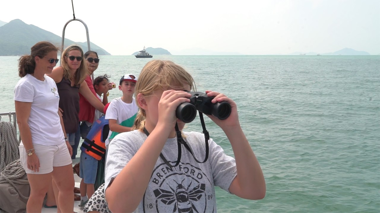 Despite a drop in tourist numbers, a Hong Kong tour company stays the course to help people see the city’s endangered pink dolphins