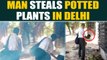 Old man caught on camera stealing potted plants in Delhi, video goes viral | OneIndia News