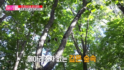 다람쥐가 다 먹어서 꼭꼭 숨어버린 도토리 (귀엽)