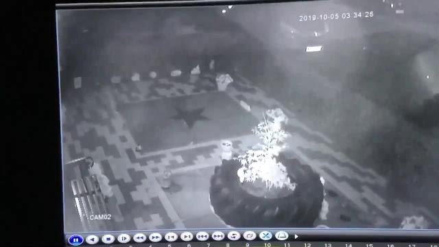 Thief steals from memorial garden in Edinburgh