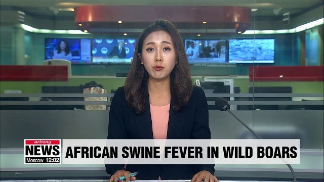 S. Korea confirms African swine fever in wild boars near DMZ