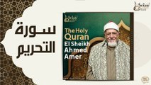 الشيخ احمد عامر - سورة التحريم