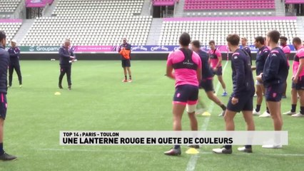 TOP14 : Stade Français, une lanterne rouge en quête de couleurs