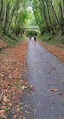 A vélo ou à roller
