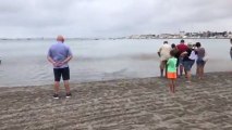 Un ciudadano graba los peces muertos en una playa del Mar Menor