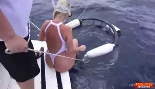 Requin à la chasse 2019 Attaque de requin filmée à la grande attaque de requin blanc