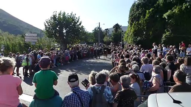 L'arrivée des chevaux et pottok depuis la Rhune jusqu'à Ascain