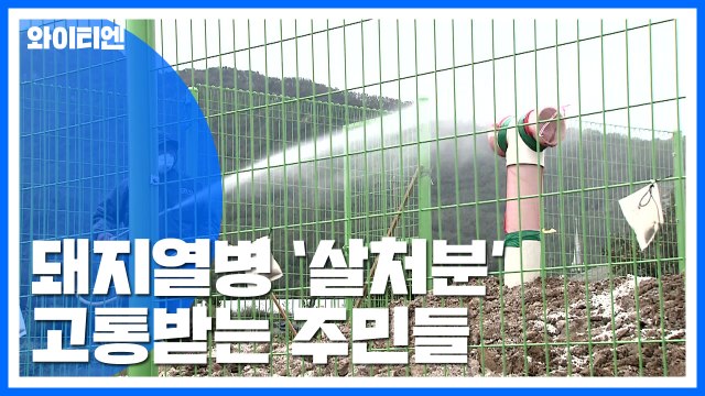 [Y가 간다] '살처분' 악취에 위생 문제까지...주민들 고통 호소 / YTN
