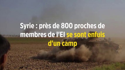 Syrie : près de 800 proches de membres de l'EI se sont enfuis d'un camp