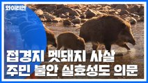 [Y가간다] 저격수 실탄 쏴서 멧돼지 사살...접경지는 지금 / YTN