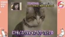 04★[네오] 다케히사군에게만 덤벼드는 고양이