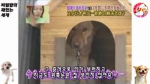10★[릭] 4년간 마음의 문을 닫은 개
