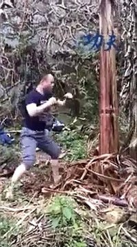 Ce maître en arts martiaux détruit un arbre à coups de tibia