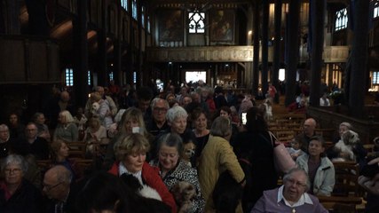 Bénédiction des animaux de compagnie