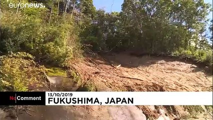Mindestens 33 Tote bei Taifun in Japan