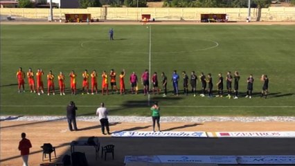 Νέα Αρτάκη-Παλληνιακός 1-2