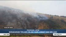 Kebakaran di Gunung Arjuno Meluas