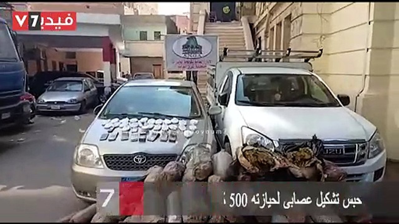 حبس تشكيل عصابى لحيازته 500 كيلو بانجو و5 كيلو...