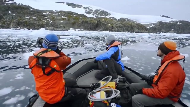 ¡Los Pescadores Creían Se Tratar de una Foca en un Iceberg a la Deriva... Hasta que Se Acercaron!