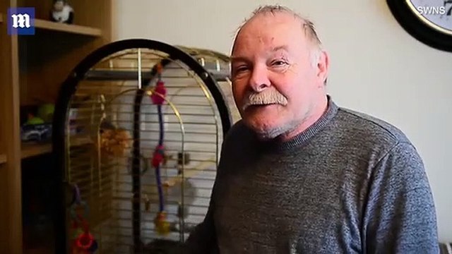 Este loro que imita perfectamente una alarma de humo moviliza a un departamento de bomberos