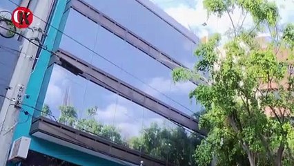 De grillas y grillos al Tribunal Electoral de la CDMX