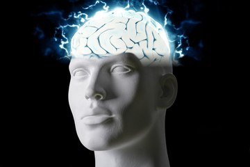 Encuentran el mecanismo que permite a nuestro cerebro 'predecir' el futuro