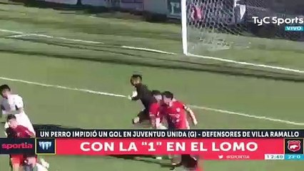 Este perro ‘portero’ irrumpe en el campo en pleno partido de fútbol y para un gol