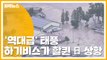 [자막뉴스] '역대급' 태풍 하기비스가 할퀸 일본 상황 / YTN
