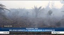 BPBD Riau: Luas Lahan Terbakar Capai 9 Ribu Hektar