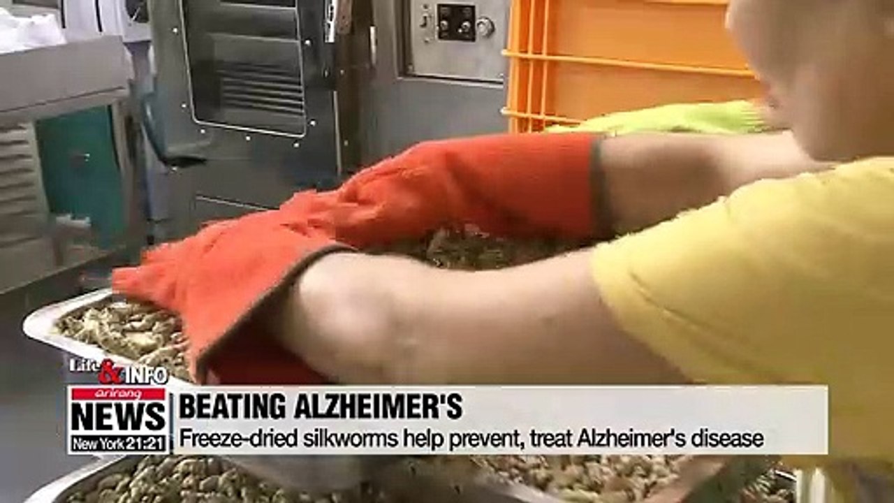 Freeze-dried silkworms help prevent, treat Alzheimer's disease