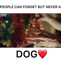 people can forget but never a dog