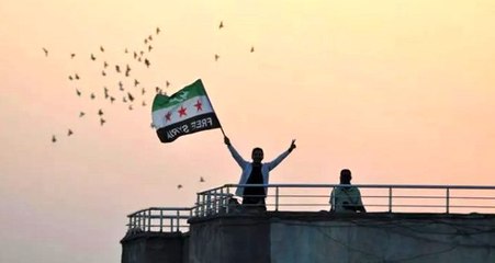 Tel Abyad özgürleşti! Akçakale'deki mülteci gençler ÖSO bayraklarıyla destek verdi