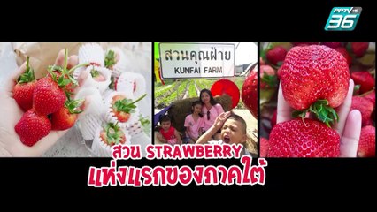 Café on  earth | กาแฟคั่ว (1/3)