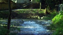 MAXGE Electric Corporate Video